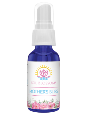 Mother's Bliss Subscription